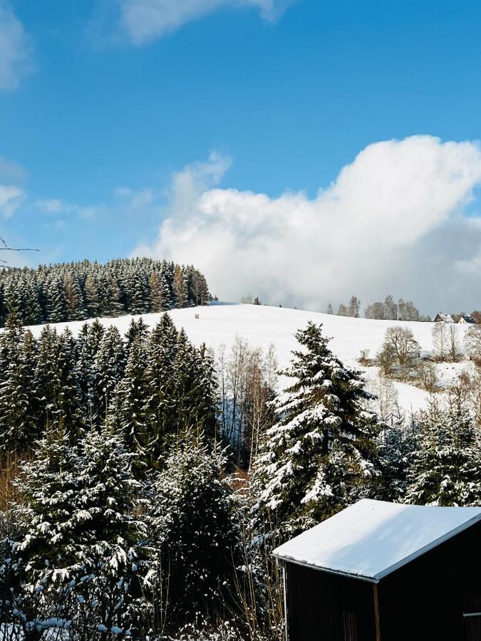 Fewo - Bergblick Klingenthal Buitenkant foto